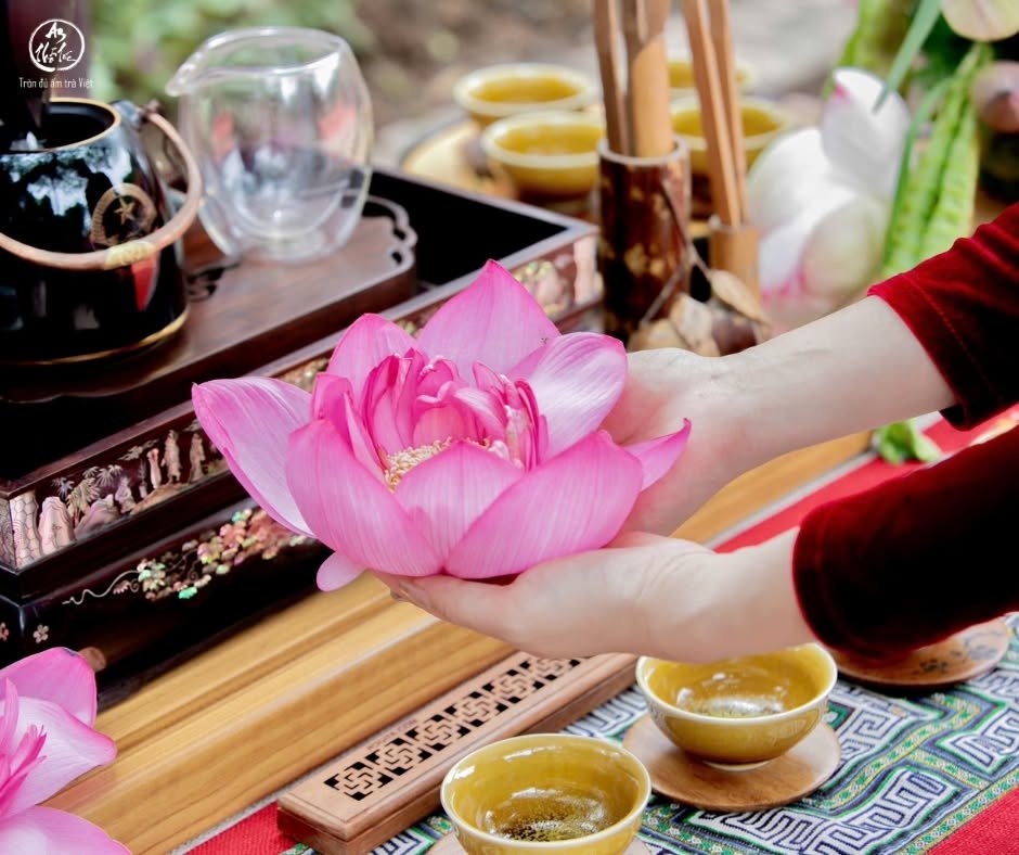 Phẩm trà Mạn Sen trên bàn tiệc