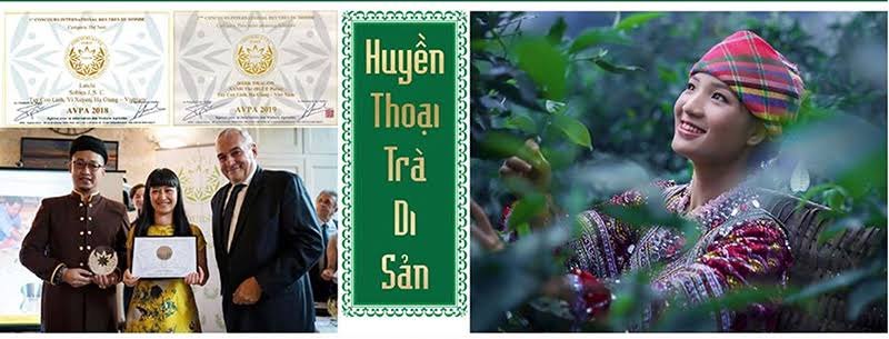 Trà Cụ Thành – trà shan tuyết cổ thụ Tây Côn Lĩnh, Hà Giang